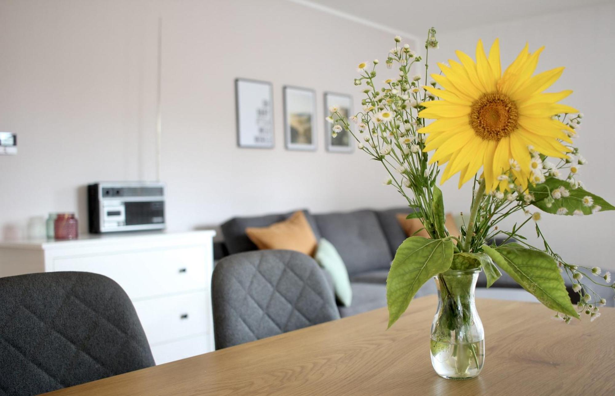 קנזינגן Ferienwohnung Morgensonne מראה חיצוני תמונה